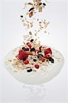 Fruit muesli falling into a dollop of yogurt