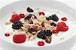 Muesli avec petits fruits et yaourt