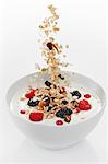 Cereals falling into yogurt muesli with berries