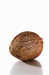 Une noix de coco