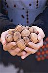 A woman holding walnuts