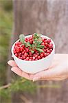 A hand holding a bowl of lingonberries