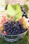 Various types of grapes in a zinc bucket