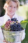 A woman holding a zinc bucket with various types of grapes