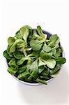 Fresh lamb's lettuce in a bowl