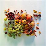 An autumnal arrangement of grapes, pears, rosehips and pomegranates