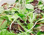 Grüner Salat und Spinat in Wasser