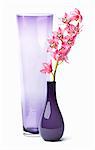 Two Glass Vases; One with Pink Flowers; White Background