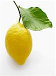 A lemon with leaf