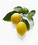 Deux citrons avec feuilles