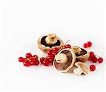 Champignons und rote Johannisbeeren