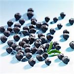 Blueberries