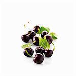 Black cherries with stem and leaves