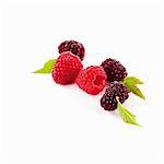 Raspberries and blackberries with leaves