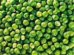 Fresh Whole Brussels Sprouts