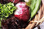 Basket of Fresh Leaf Vegetables