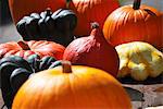 Assorted gourds