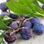 Organic plums with twigs and leaves