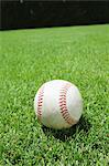 Close Up Of White Cricket Ball On Grass