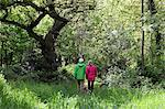 Older couple walking in forest