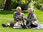 Older couple toasting each other