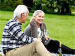 Older couple drinking wine at picnic