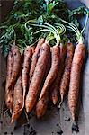 Basket of fresh carrots