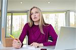 Businesswoman working in the home office