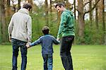 Rear view of a boy walking with two men in a park