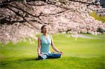 Femme en position du lotus sous l'arbre de la cerise