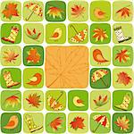 Abstract colorful autumn leaves background