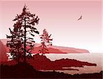 Inspiring illustration of the rugged west coast of Vancouver Island