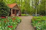 Colorful spring flowers in dutch  garden Keukenhof in Holland