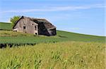 A dilapidated farmhouse in a field in rural Washington