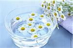 Camomile and Bowl of Water