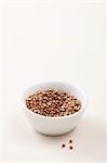 A bowl of coriander seeds