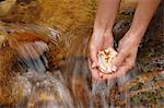 Eine Frau hält Muscheln unter fließendem Wasser