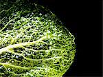 A savoy cabbage leaf in hot oil