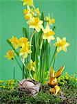 Gold Easter Bunny in front of narcissi
