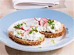 Fromage cottage et les radis sur pain
