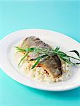 Fillet of brook charr on lemon grass risotto