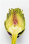 Half an artichoke on a white surface