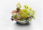 A bowl of wild herb flowers