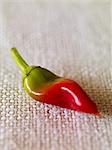 A Chili Pepper