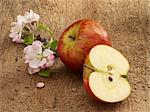 An apple, apple blossoms and half an apple