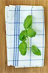 Basil leaves on a tea towel