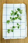 Oregano sprigs on a tea towel