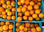 Jaune tomates cerises de Pennsylvanie Farmers Market