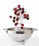 Cherries and a splash of water falling into a colander