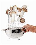 King Trompete Pilze in einem Sieb gewaschen